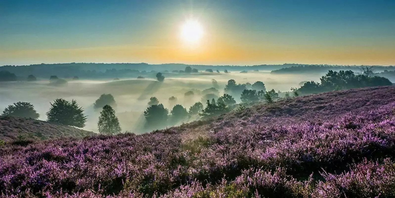 activiteiten veluwe