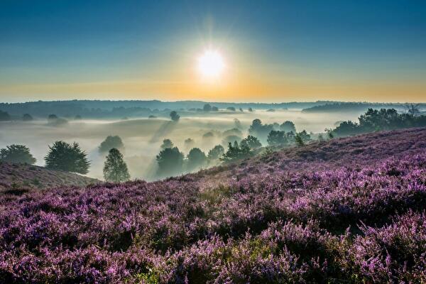 vakantiepark op de veluwe