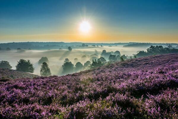 Omgeving natuurhuisje veluwe